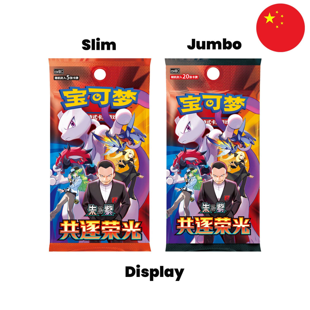 Pokémon - Chasing Glory Together - Chinese